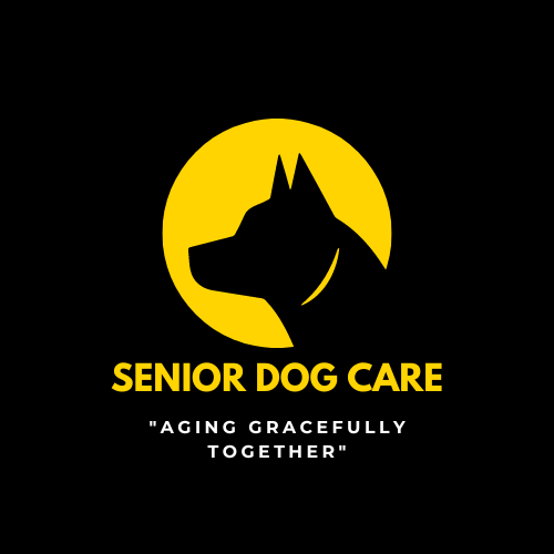 senior dog care
